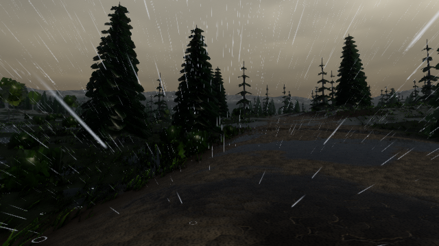 Storm: rain, wet road, wind